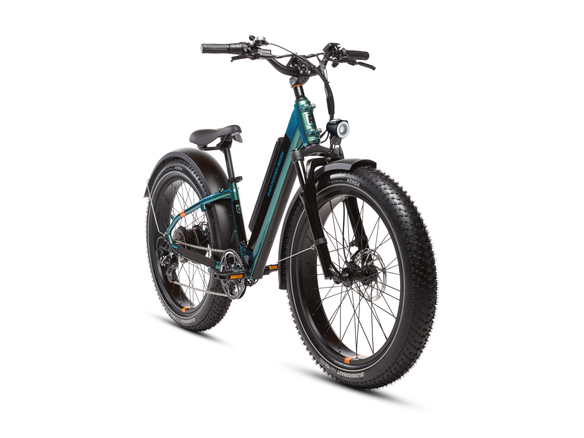 RadRover 6 Plus – BlueDogRide