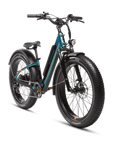 RadRover 6 Plus
