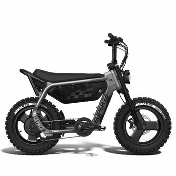 SUPER73 – BlueDogRide