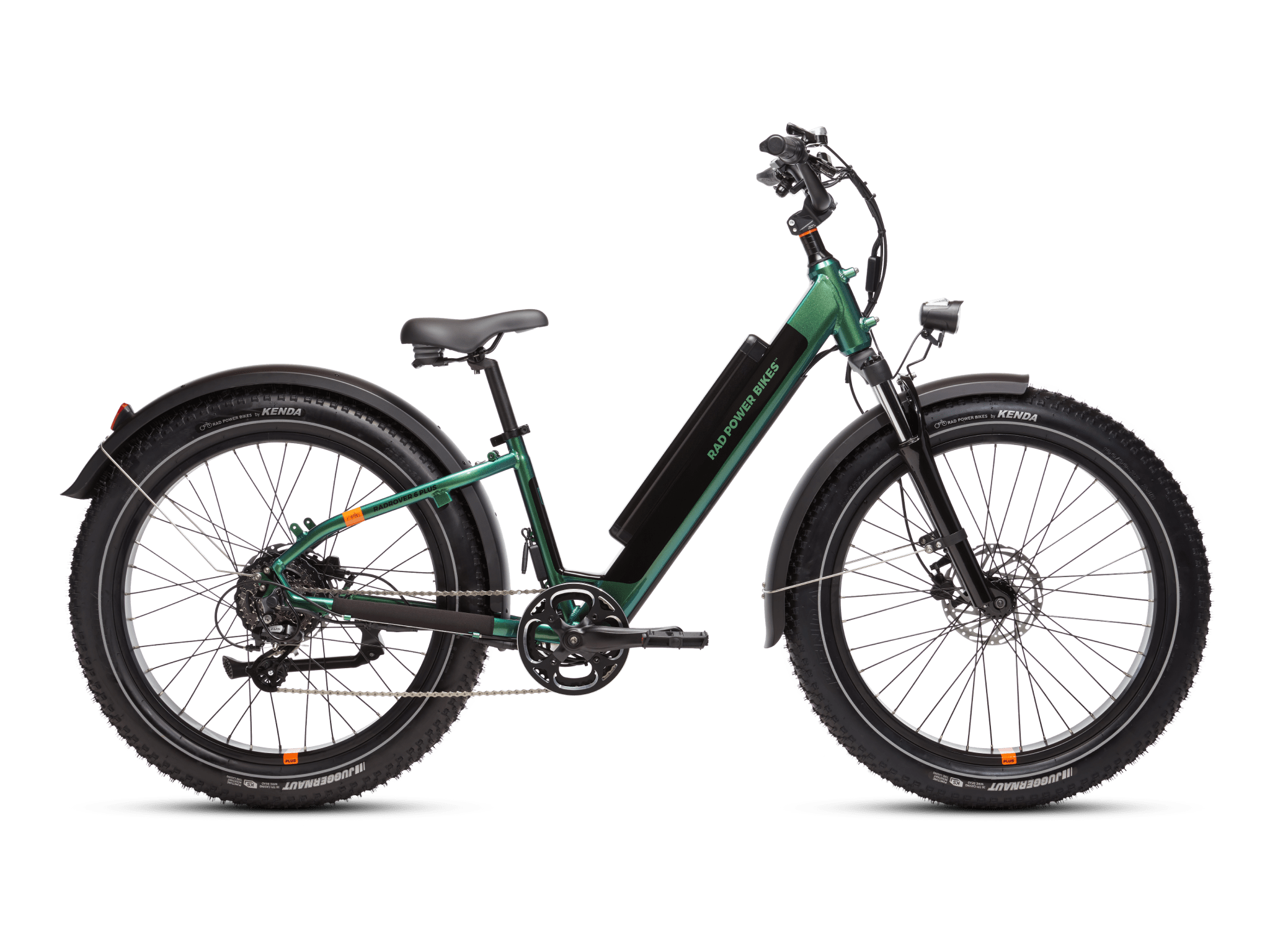 RadRover 6 Plus – BlueDogRide