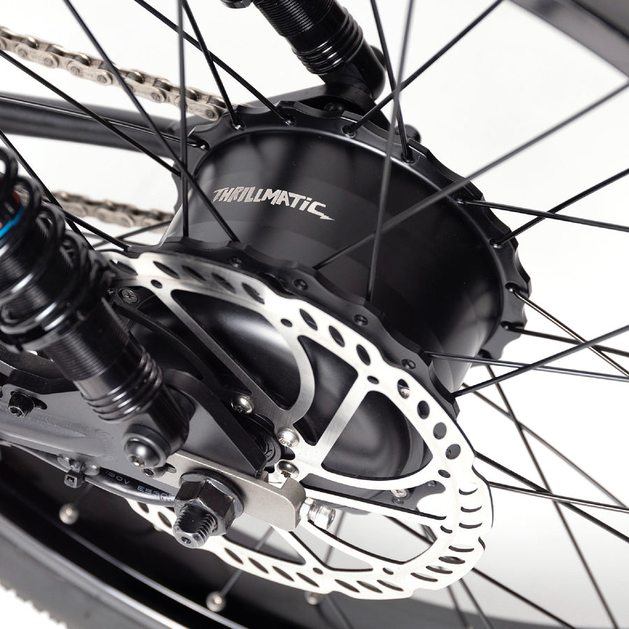 ZOOZ Ultra Flex Electric Bike